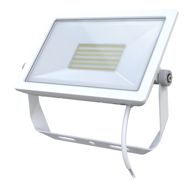 sal 50w floodlight